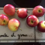 戴木丽住宿加早餐旅馆