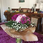 戴木丽住宿加早餐旅馆 2*