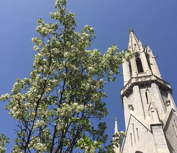 Dai Muli Bed & Breakfast Trieste